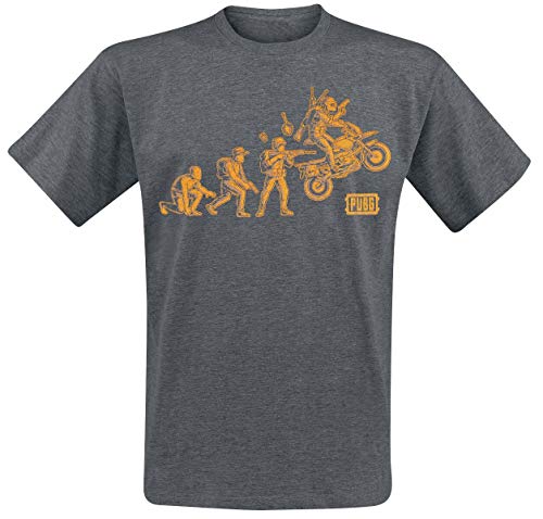 Playerunknown's Battlegrounds PUBG - Evolution Camiseta Gris/Melé XL