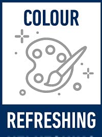 Polytop Neoplast Maximus - Producto para el Cuidado de plásticos (500 ml)