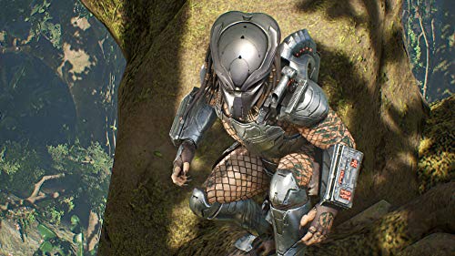 Predator. Hunting Grounds for Playstation 4 [Usa] [USA]