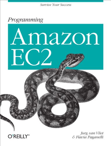 Programming Amazon EC2: Survive your Success (English Edition)