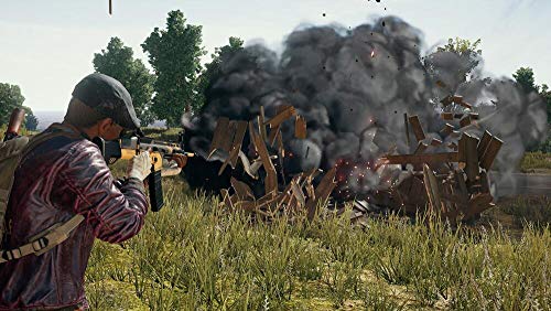 PUBG PS-4 AT Players Unknown Battlegrounds [Importación alemana]