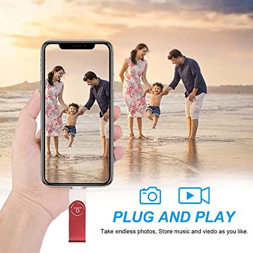 Qarfee Memoria USB 128 GB para Phone 4 en 1 Pendrive Flash Drive USB 3.0 Memoria Externa para iOS Android OTG Computadoras Laptops Tipo C Smartphone(128GB, Red)