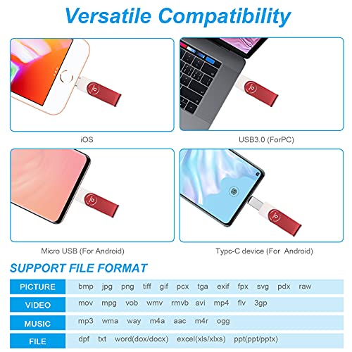 Qarfee Memoria USB 128 GB para Phone 4 en 1 Pendrive Flash Drive USB 3.0 Memoria Externa para iOS Android OTG Computadoras Laptops Tipo C Smartphone(128GB, Red)