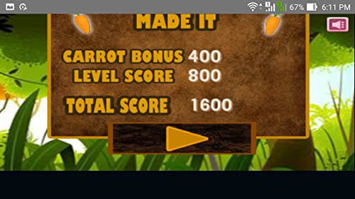 Rabbit Run - Jungle Adventure