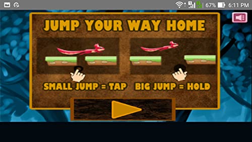 Rabbit Run - Jungle Adventure