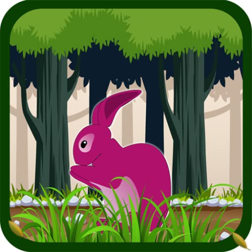Rabbit Run - Jungle Adventure