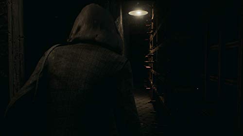 Remothered: Tormented Fathers - Nintendo Switch [Importación alemana]