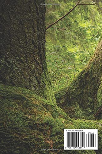 Role-Playing Game Character Journal, DnD 5th Edition: DnD Player Journal and Character Builder Book