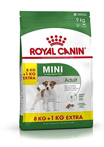 Royal Canin Comida para Perros Mini Adult, 8 + 1 kg Gratis, 1 Unidad (1 x 9 kg)