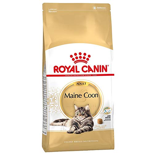 Royal Canin Maine Coon 400 g, Alimento, Alimento de animales, Comida para gatos seco