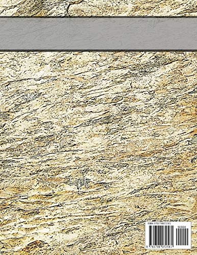 RPG GAMERS, GAME MASTER & PLAYERS COMPANION: RPG Battle Map Grid Paper Workbook - Quad, Hexagon and Blank Lined Pages For Role Playing Gamers