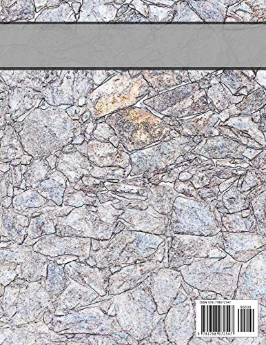 RPG GAMERS, GAME MASTER & PLAYERS COMPANION: RPG Battle Map Grid Paper Workbook - Quad, Hexagon and Blank Lined Pages For Role Playing Gamers