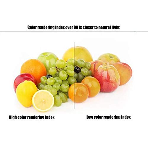 RUNAWAY 2-PC Foco Regulable R7s LED 118mm 3000K / 6000K 50W R7S Base de lámpara J118 Reflector LED 500W Equivalente R7s Bombilla halógena para Trabajo, Seguridad, iluminación de paisajes