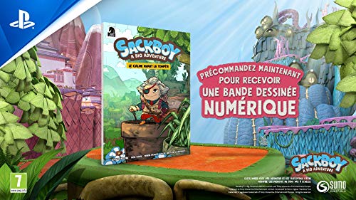 Sackboy : A Big Adventure sur PS5, Jeu de plateforme et d'aventure 3D, Edition Standard, 1 à 4 joueurs, Version physique, En français [Importación francesa]