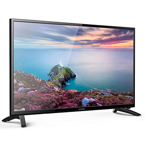 Schneider TV LED 24" Full HD, SC-LED24SC510K, HDMI, USB 2.0, 1920x1080p, Sintonizador DVB-T/2/C, Negro