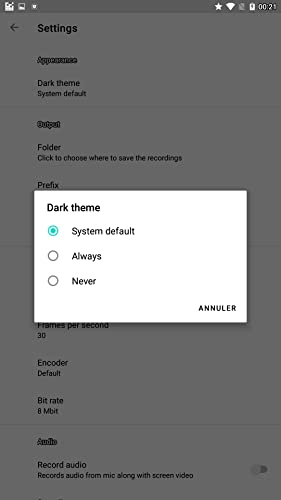 Screen Recorder with audio pro