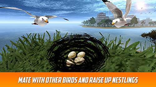 Seagull Simulator 3D: Sea Animal Games | Fly Bird Wild Bird Simulator Survival Island World Of Animals Sim