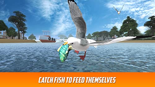 Seagull Simulator 3D: Sea Animal Games | Fly Bird Wild Bird Simulator Survival Island World Of Animals Sim