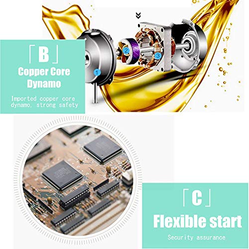 Secador De Pelo para Perros Gatos Mascotas Soplador Secador De Pelo De Belleza para Potencia Y Velocidad Ajustable Ara Peluquería Secador De Mascotas Secador De Pelo(Negro)