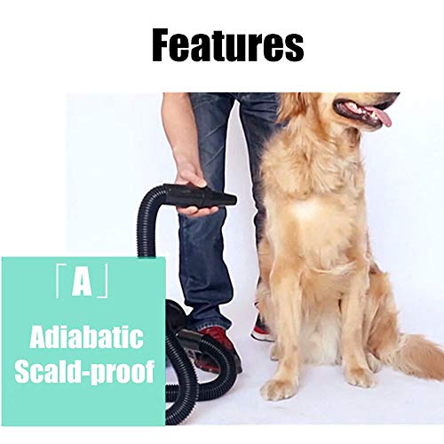 Secador De Pelo para Perros Gatos Mascotas Soplador Secador De Pelo De Belleza para Potencia Y Velocidad Ajustable Ara Peluquería Secador De Mascotas Secador De Pelo(Negro)