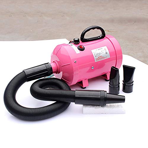 Secador De Pelo para Perros Gatos Mascotas Soplador Secador De Pelo De Belleza para Potencia Y Velocidad Ajustable Ara Peluquería Secador De Mascotas Secador De Pelo(Negro)