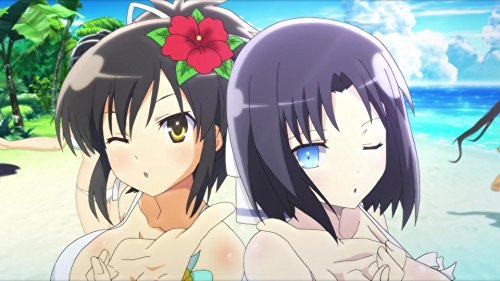 Senran Kagura Peach Beach Splash (PS4) (New)