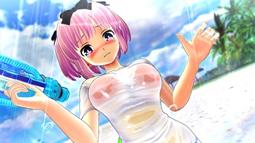 Senran Kagura: Peach Beach Splash - Standard Edition [PS4][Importación Japonesa]