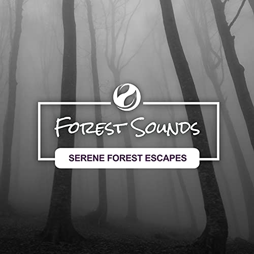 Serene Forest Escapes