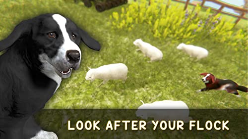 Silly Sheep Run- Animal Farm Pet Dog Game
