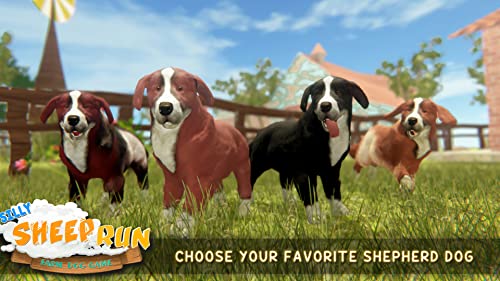 Silly Sheep Run- Animal Farm Pet Dog Game