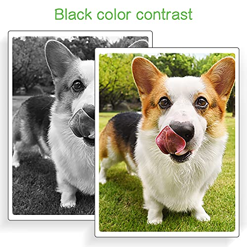 SINOPRINT - Cartucho de tóner Compatible para HP 203X CF540X 203A CF540A para Color Laserjet Pro MFP M281fdn M281fdw M280nw M281cdw, Pro M254dn M254dw M254nw HP203X HP203A (1 Negro)