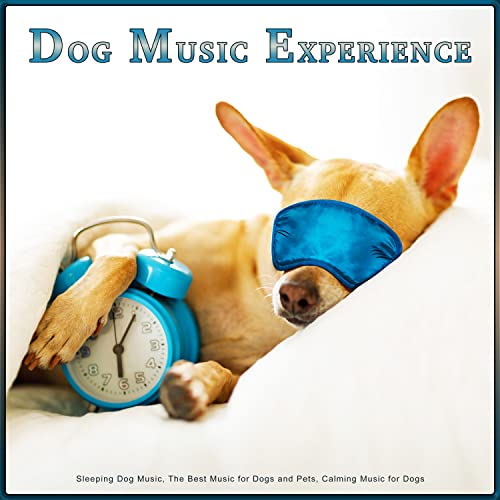 Sleeping Dog Music