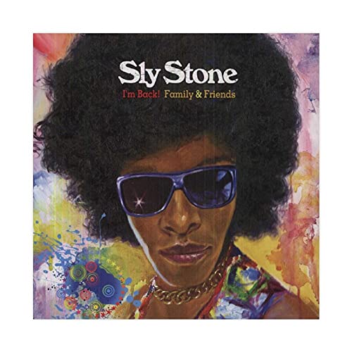 Sly Stone 4 - Póster de lienzo para pared (30 x 30 cm)