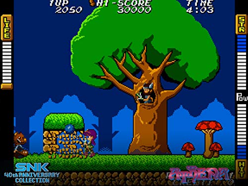 SNK 40th Anniversary Collection for PlayStation 4 [USA]