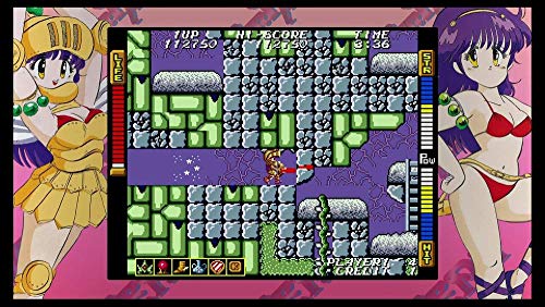 SNK 40th Anniversary Collection Juego de PS4