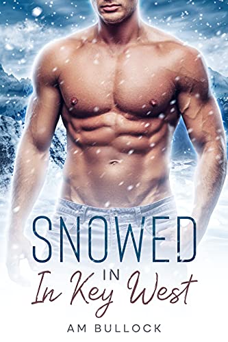 Snowed In In Key West: A Heartwarming HEA Romance Where the Chemistry Is Strong, the Men are Stronger, and the Steam Is Just Right (English Edition)