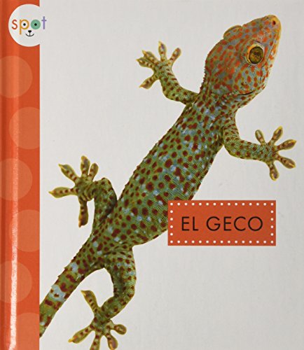 SPA-GECO (GECKOS) (Spot Animales del Patio / Spot Backyard Animals)