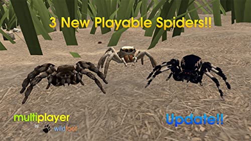 Spider World Multiplayer