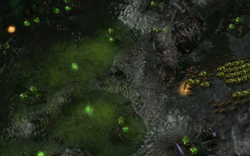 Starcraft II: Heart Of The Swarm (Add-On) - Collector's Edition [Importación Alemana]