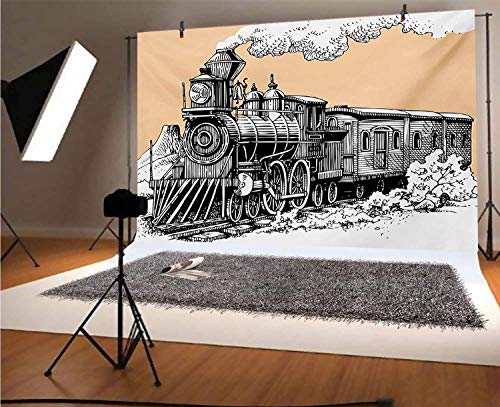 Steam Engine - Fondo de vinilo para fotografía de 30,5 x 25,4 cm, diseño vintage con carril de tren salvaje oeste en el campo, fondo artístico para fiesta de cumpleaños, boda, estudio, fotografía