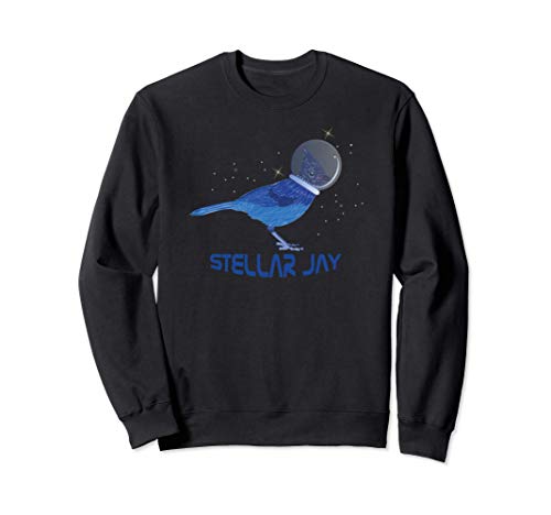 Stellar Jay Space Bird Funny Clever Bird Watcher Twitcher Sudadera