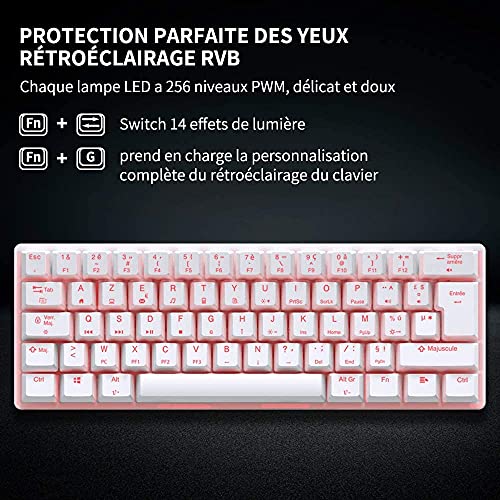 STOGA Teclado mecánico para juegos 60%, RGB pequeño y compacto de 61 teclas USB-C con cable interruptor marrón Mini teclado de ordenador para juegos/sobremesa,francés diseño - Negro