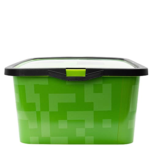 Stor Caja Click 13 L Minecraft