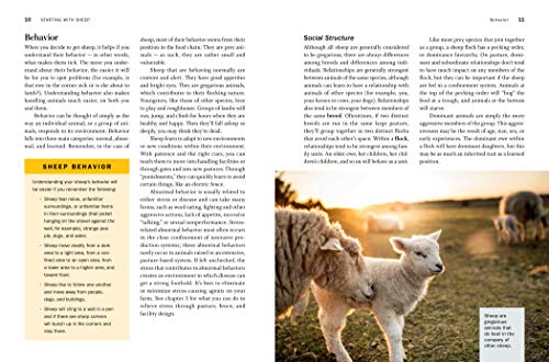 Storey's Guide to Raising Sheep, 5th Edition: Breeding, Care, Facilities