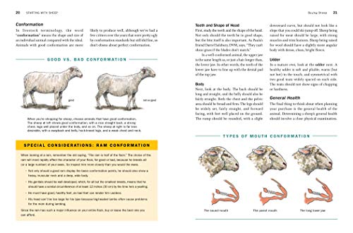 Storey's Guide to Raising Sheep, 5th Edition: Breeding, Care, Facilities