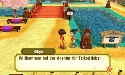 Story of Seasons: Trio of Towns - Nintendo 3DS [Importación alemana]