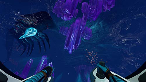 Subnautica: Below Zero for PlayStation 5 [USA]