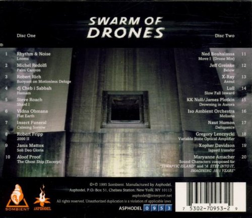 Swarm of Drones