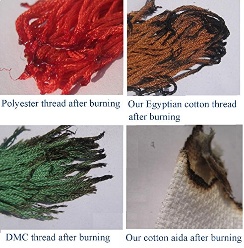 SWEET HOME - Kit de punto de cruz, diseño de gato y colores (220 x 299 puntadas, 50 x 64 cm), diseño de gato