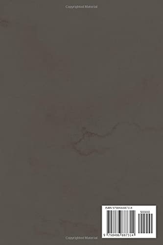 Sword Fighting Insults: Point and Click Adventure inspired 120 page blank lined notebook for retro gaming fans